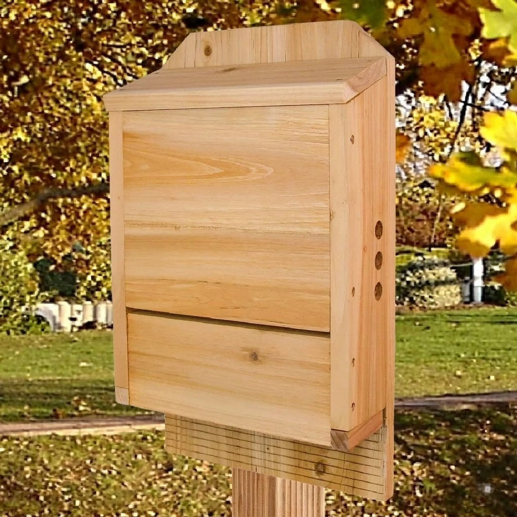 Build a Bat Box (Yes, Really… And It’s Awesome)